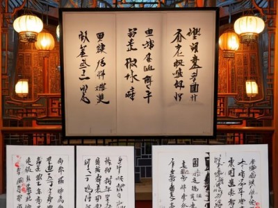 2008首届天朗杯书法名家展，经典传承，墨香飘逸瞬间