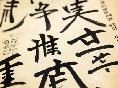 硬笔书法偏旁部首之美，动态图解传统艺术韵味