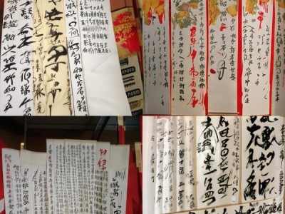 一年级硬笔书法新星，书画展上的艺术之旅
