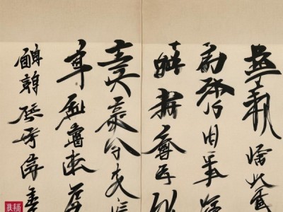 笔耕不辍，智慧流淌——横版赏析，天道酬勤行书书法作品
