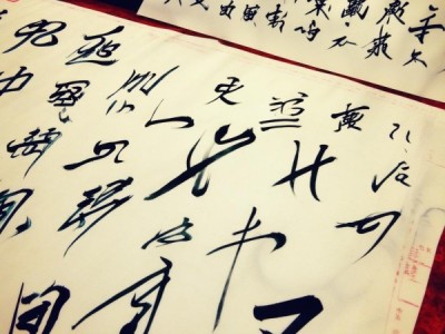 硬笔书法成语宝典，传承翰墨之美