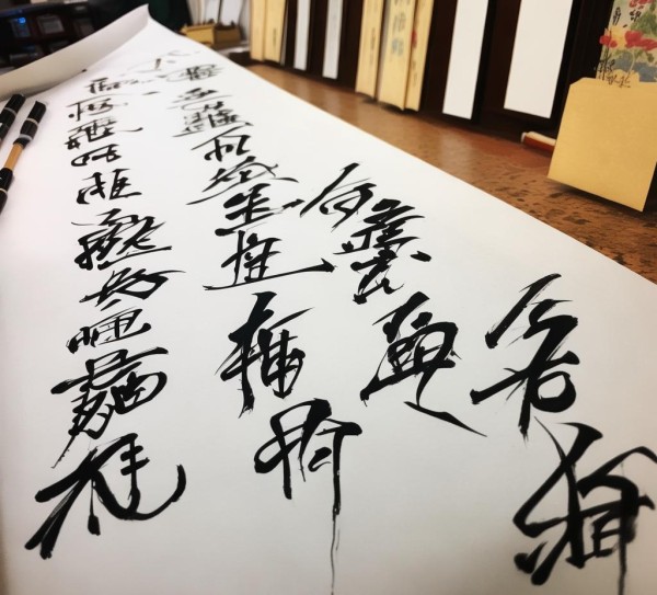 世伟书画工作室硬笔书法展，文化传承与艺术风采,世伟书画工作室硬笔书法展示，传承文化，彰显艺术魅力,书法,书法艺术,龙蛇,第1张